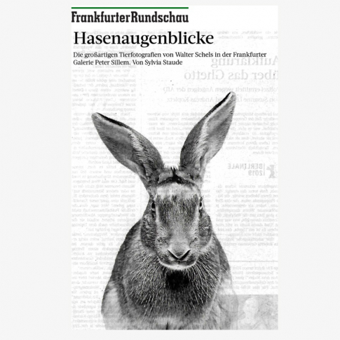 Hasenaugenblicke. Die großartigen Tierfotografien von Walter Schels in der Frankfurter Galerie Peter Sillem