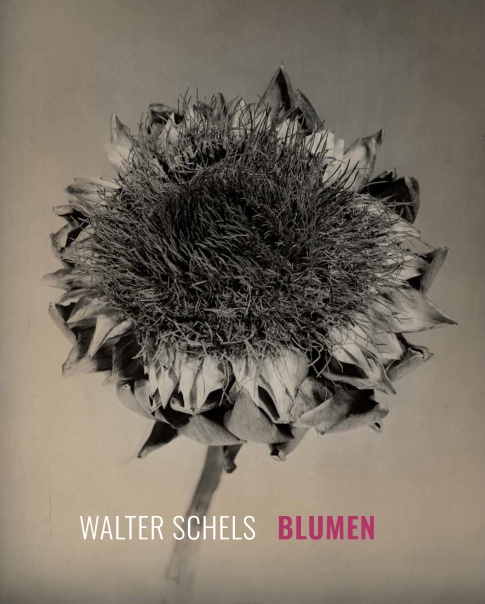 Walter Schels. Blumen | Magazin